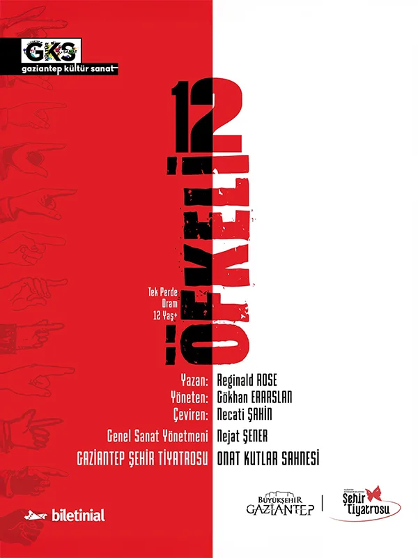 12 Öfkeli