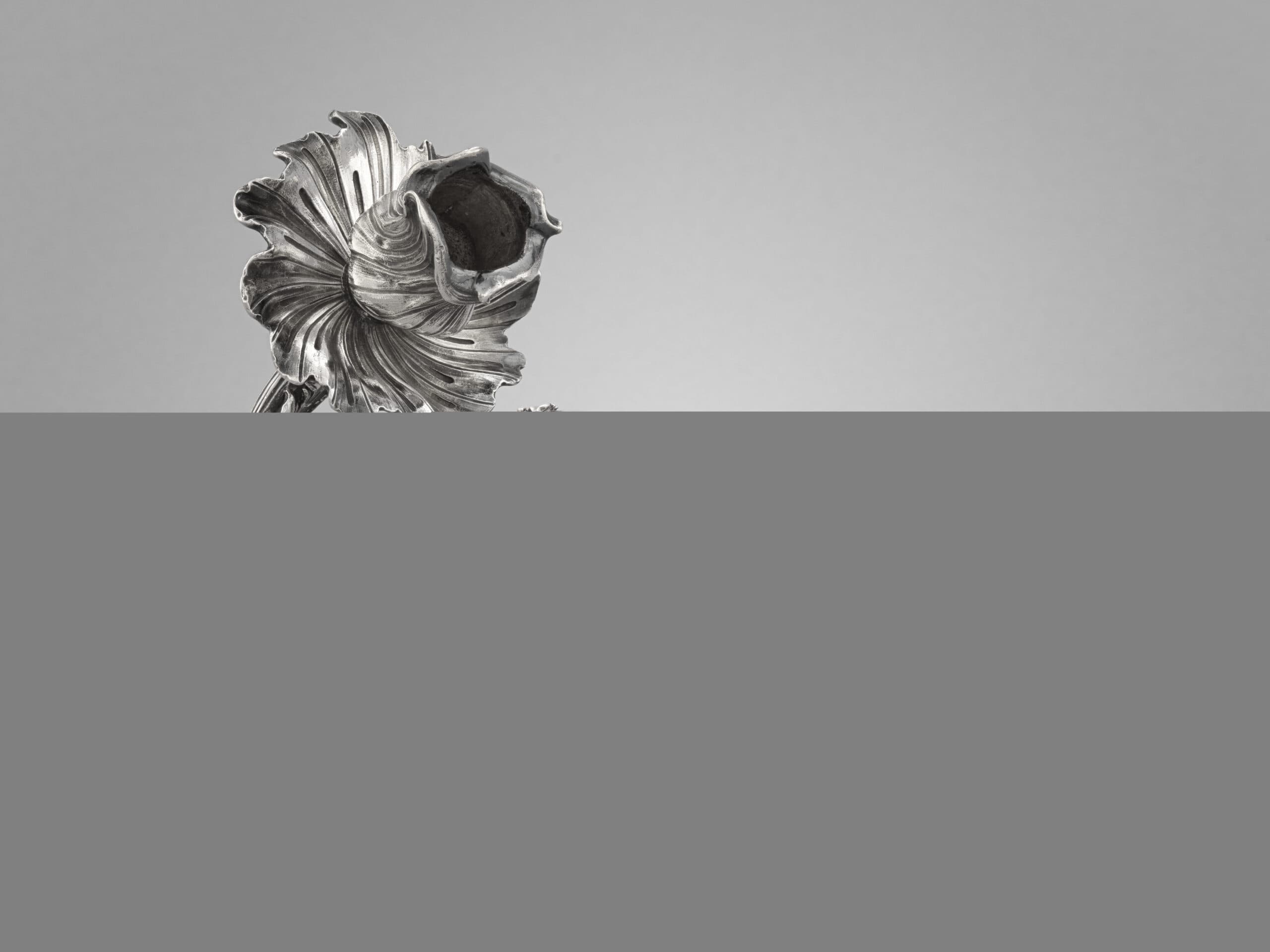 Michel Lacoste’s donation to the musée du Louvre